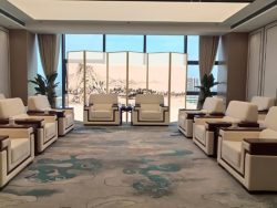 保定TX-999贵宾沙发